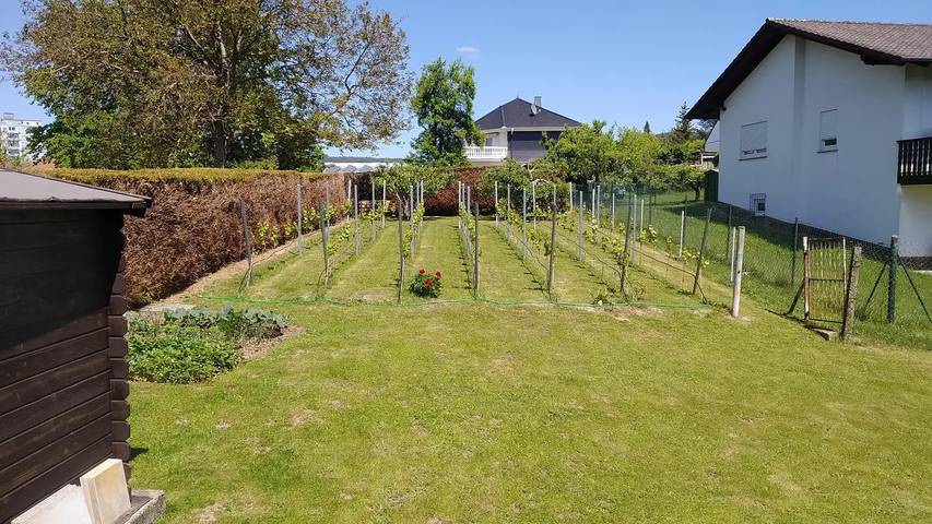 Ferienwohnung für 2 Personen, mit Terrasse in Michelstadt - 4