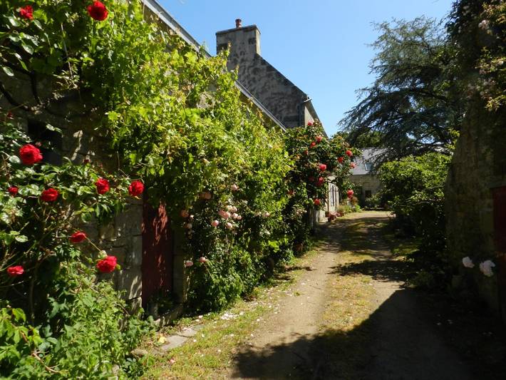 Gîte pour 4 personnes, avec jardin et terrasse à Cléden-Cap-Sizun - 3