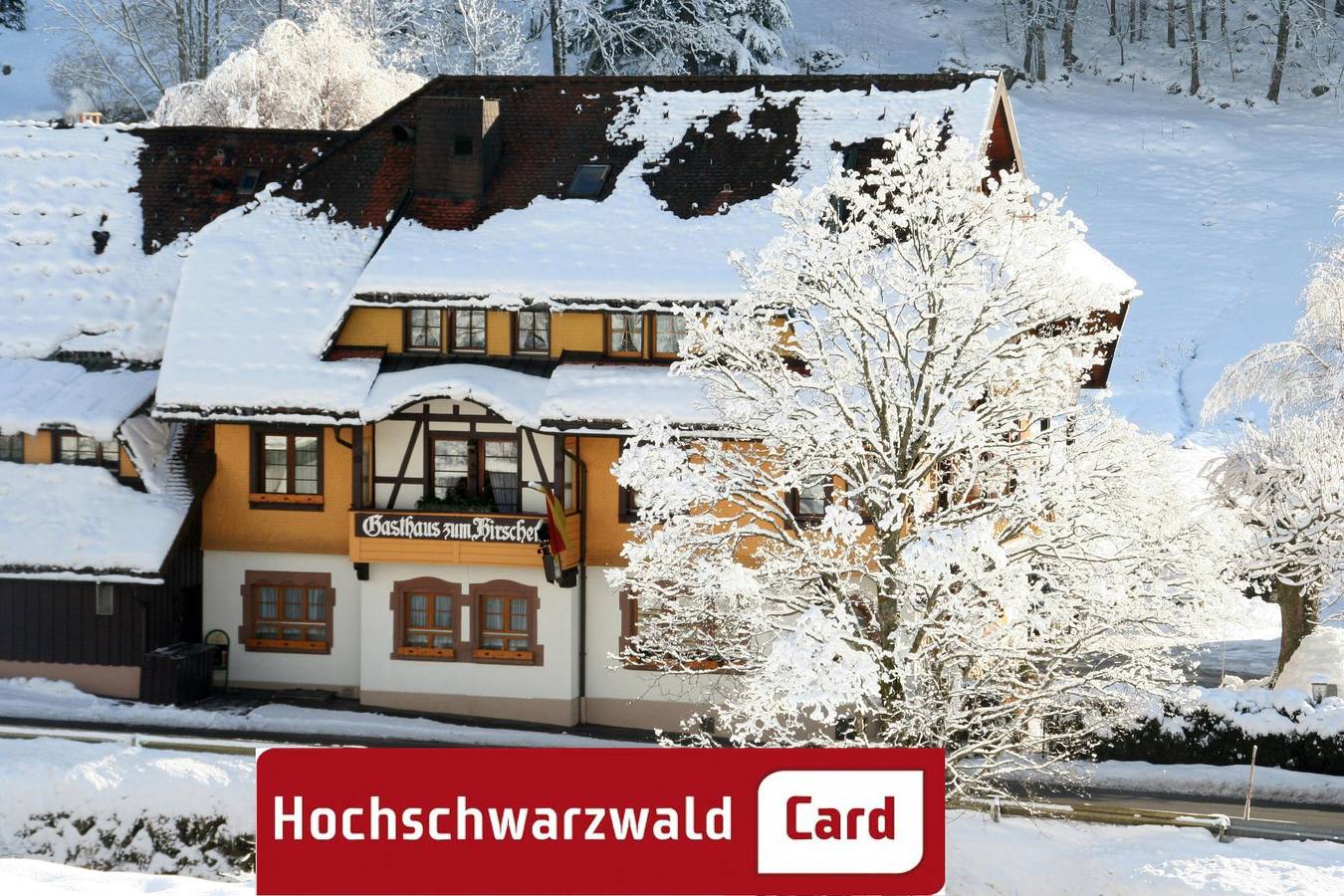 Hotel Gasthaus Hirschen - Einzelzimmer, 14qm, Dusche/Wc, teilweise mit Balkon in Todtnau, Südschwarzwald