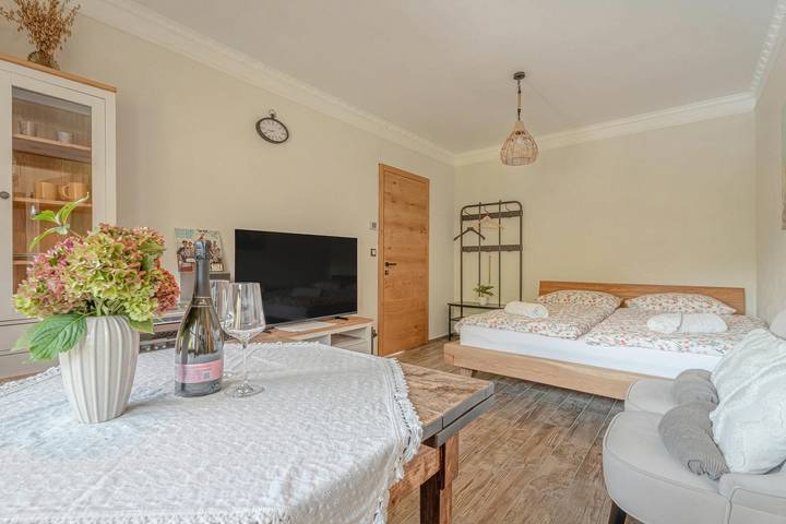 Ganze Wohnung, Villa Trate Studio w/ Pool in Križevci, Untersteiermark