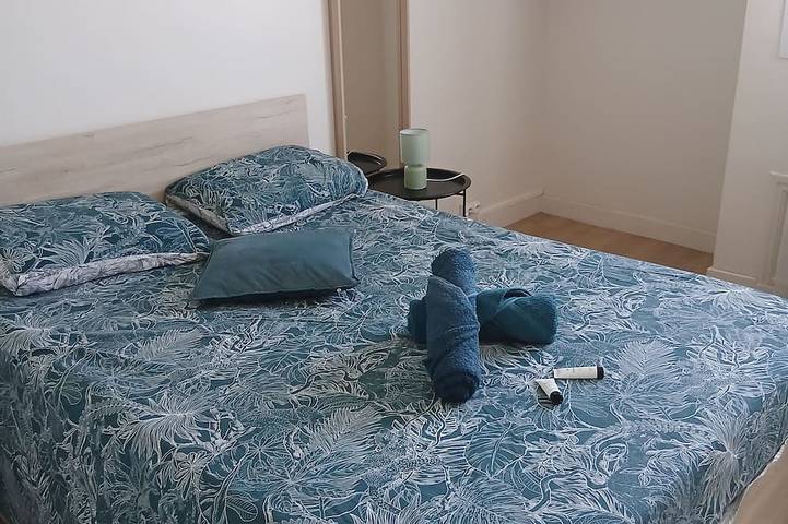 Appartement entier, Appartement lumineux avec 4 chambres avec 2 Sdb + Grand Balcon et Parking in Le Mans, Sarthe