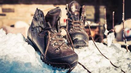 Hütte für 6 Personen in Tannheim (Tirol), Allgäuer Alpen (Österreich), Bild 3
