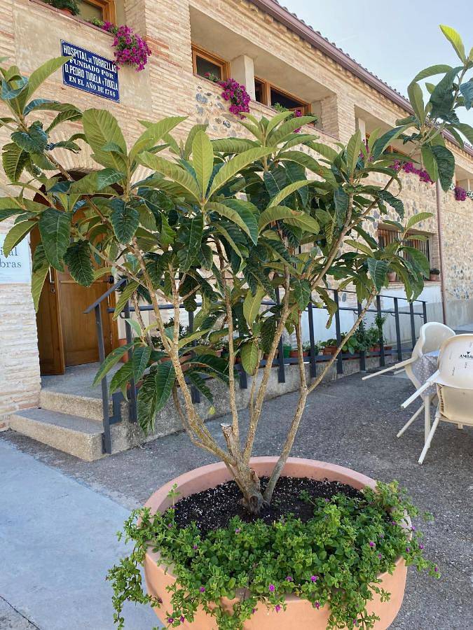 Casa rural para 2 personas, con vistas y terraza en Provincia de Zaragoza