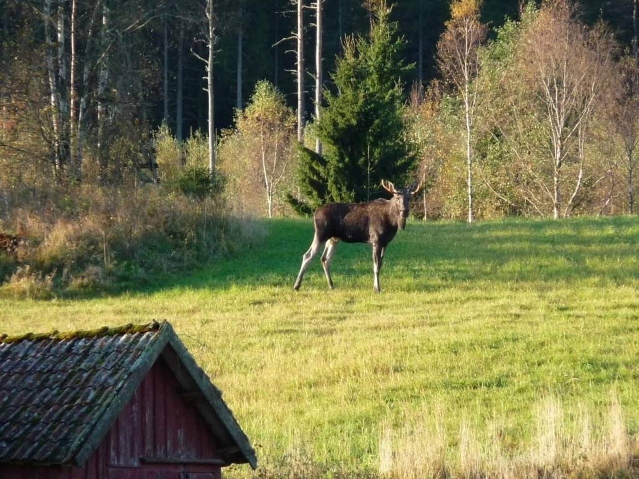 7 Personen Ferienhaus in Oviken in Jämtland