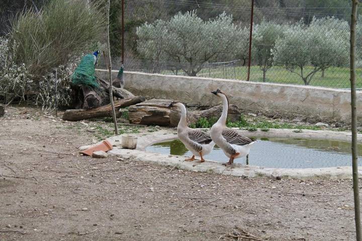 Location de vacances pour 5 personnes, avec piscine ainsi que jardin et vue à Vinsobres - 3