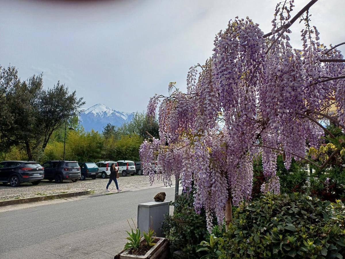 Agriturismo San Giovanni Ad Insulam in Isola del Gran Sasso d'Italia, Gran Sasso