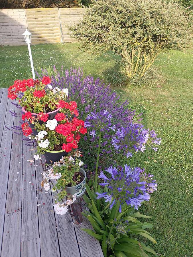 Chambre d’hôte pour 2 personnes, avec jardin et vue, animaux acceptés à Cayeux-sur-Mer - 4