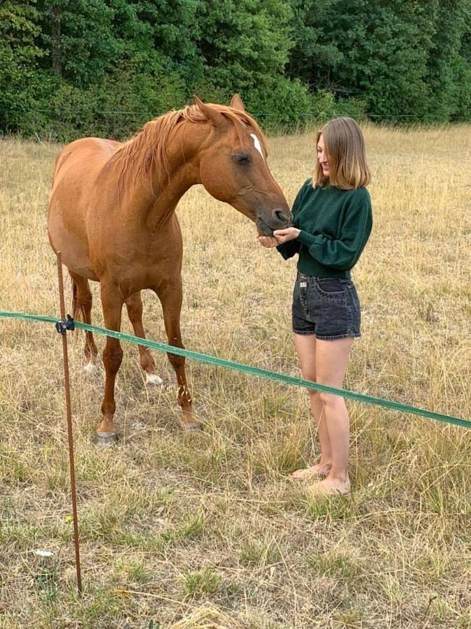 Location de vacances pour 3 personnes, avec vue ainsi que piscine et jardin, animaux acceptés à Andryes - 3