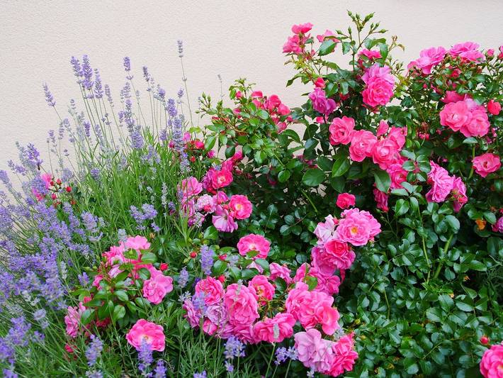 Ferienhaus für 2 Personen, mit Garten und Terrasse im Fichtelgebirge - 4
