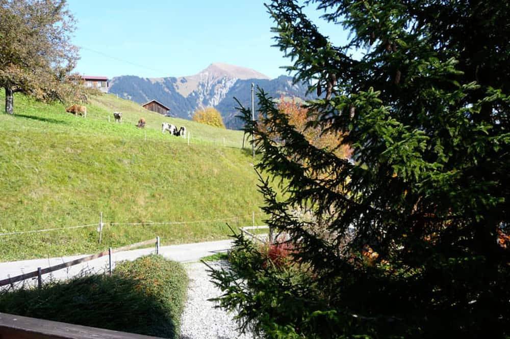 Ganze Wohnung, Terlischa, (Seewis Dorf). in Seewis im Prättigau, Rätikon Gebirgsgruppe