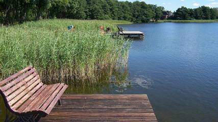 Camping für 4 Personen in Dabel, Naturpark Nossentiner/Schwinzer Heide, Bild 4
