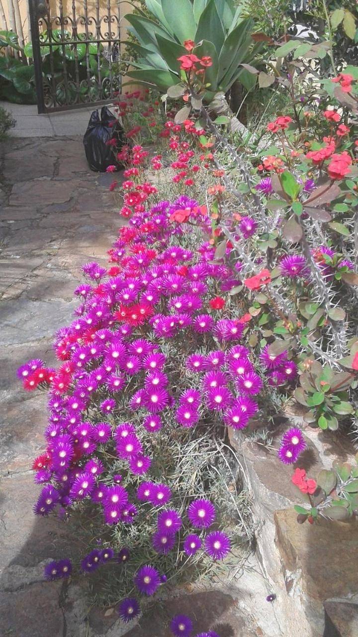 Bed and Breakfast Su Niu in Quartucciu, Campidano