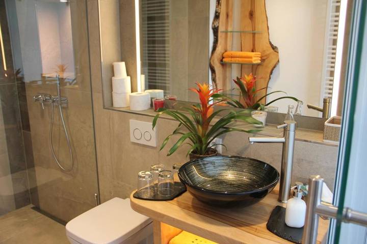 Gîte pour 6 personnes, avec terrasse, animaux acceptés à Bamberg - 3