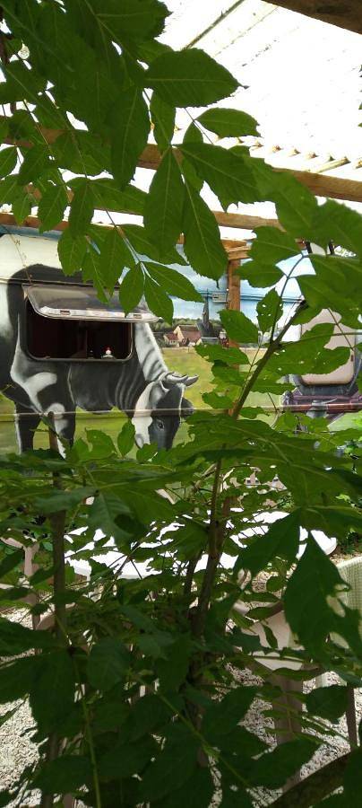 Mobil home pour 6 personnes, avec vue ainsi que terrasse et jardin, animaux acceptés dans Montcorbon