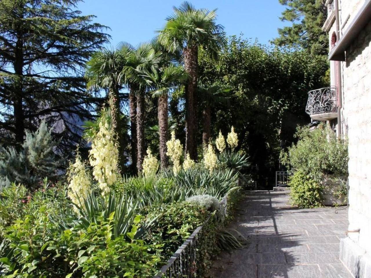 Ganze Wohnung, Lavendel in Lugano, Luganersee