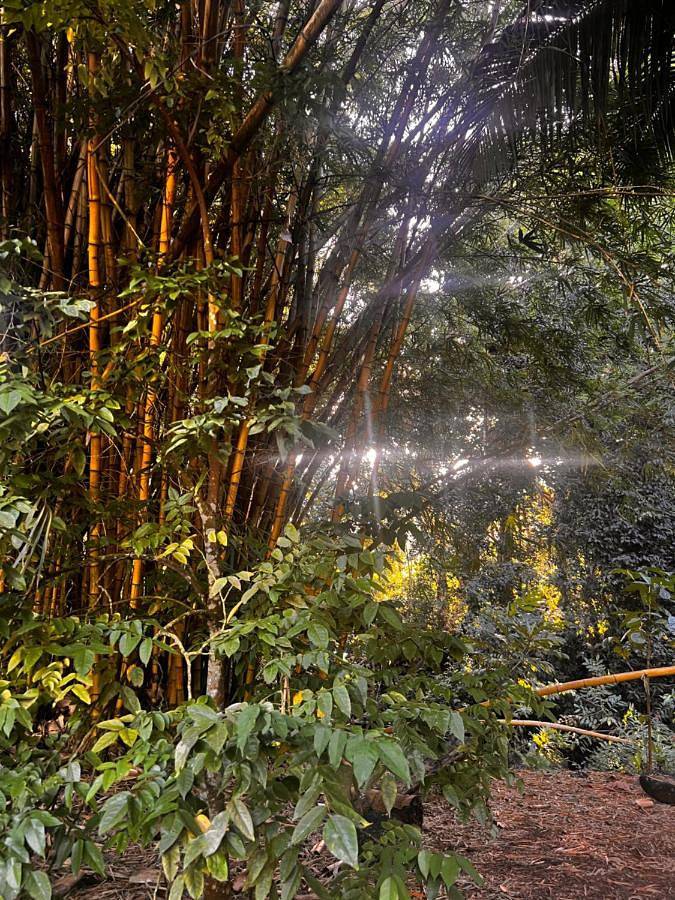 Location de vacances pour 4 personnes, avec terrasse, animaux acceptés dans Atuona