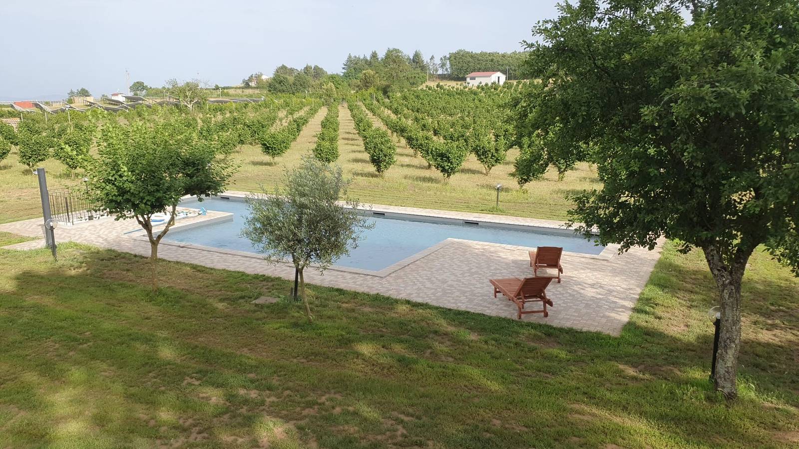 Villa "Domus Nirale" con piscina, terrazza e Wi-Fi in Bagnoregio, Provincia di Viterbo