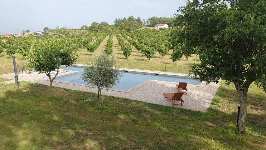 Villa "Domus Nirale" with Pool, Terrace & Wi-Fi in Bagnoregio, Viterbo Province