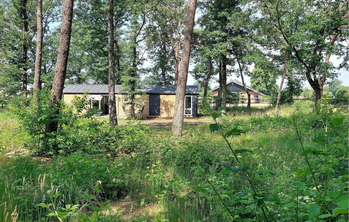 Ferienhaus für 4 Personen mit Terrasse in Sallandse Heuvelrug