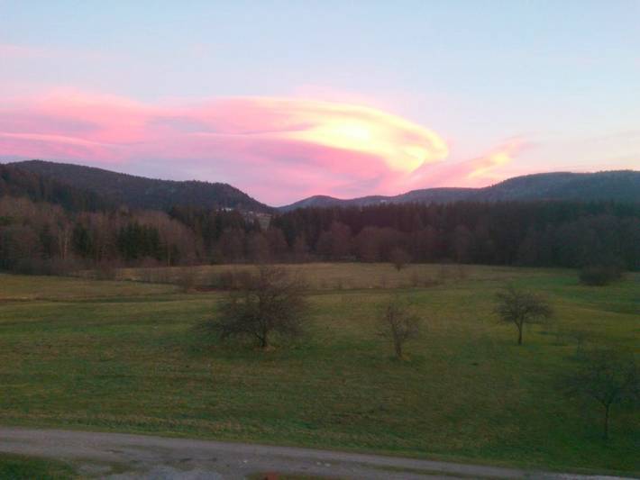 Chalet pour 4 personnes, avec sauna ainsi que vue et jardin, animaux acceptés à Le Tholy - 3