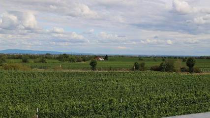Ferienwohnung für 2 Personen, mit Balkon in Bad Dürkheim