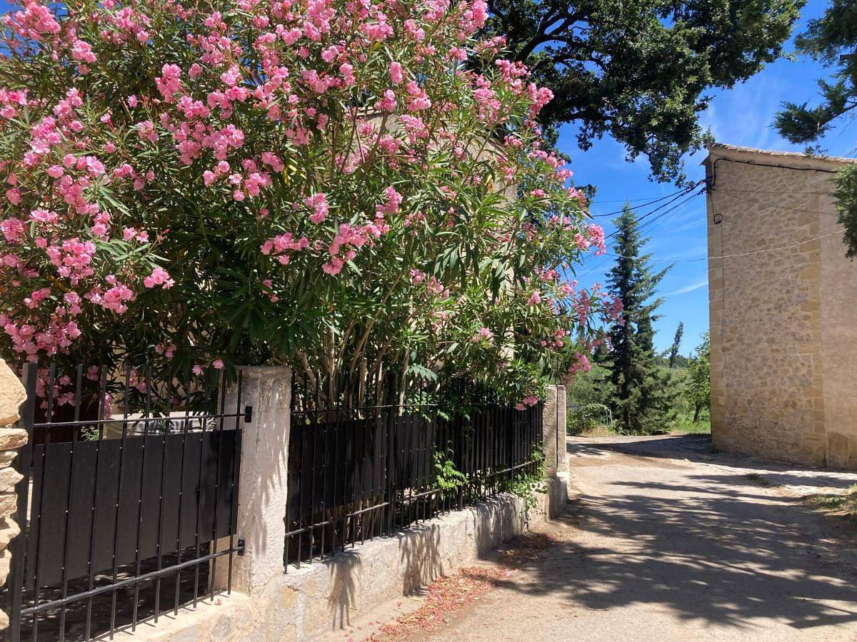 Appartement entier, One-Bedroom Apartment in Roquemaure, Région de Nîmes
