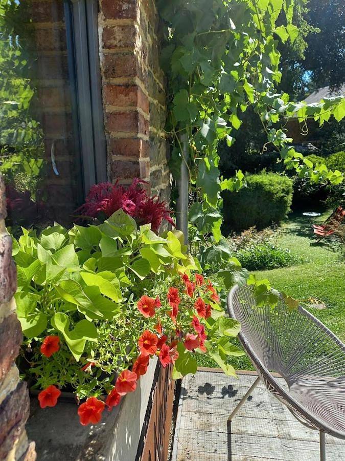 Location de vacances pour 2 personnes, avec jardin à Hamoir - 4