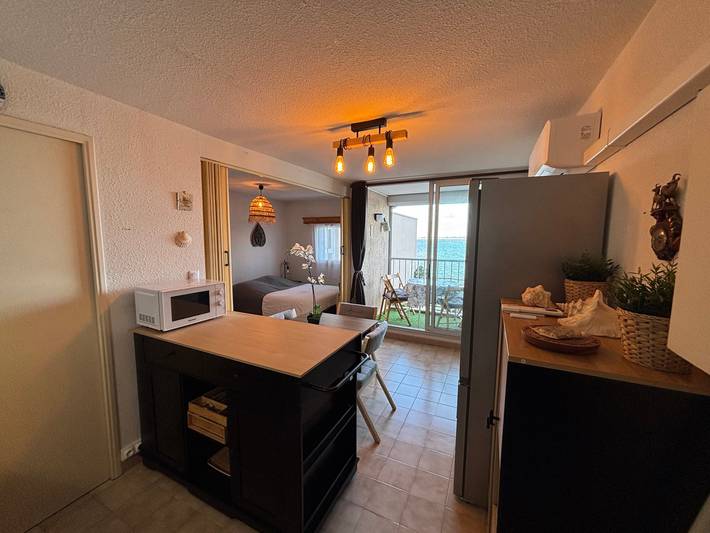 Gîte pour 3 personnes, avec balcon et vue sur le lac, animaux acceptés à Balaruc-les-Bains - 4