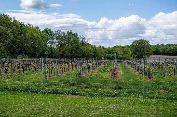 Location de vacances pour 6 personnes à Grézac