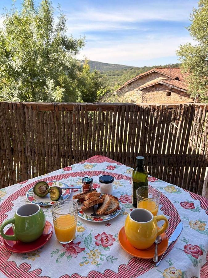 Casa rural para 4 personas, con vistas además de piscina y jardín, Se admiten mascotas en Provincia de Guadalajara - 4