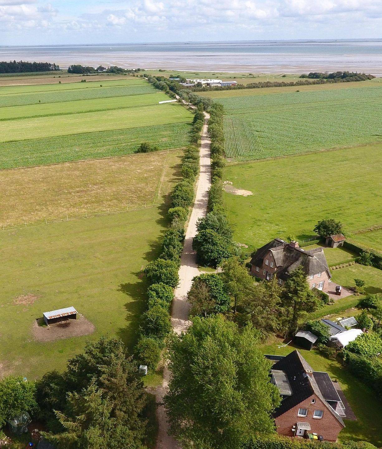 Ganze Wohnung, Unser Ferienhaus liegt im ansprechenden Dorf Nieblum nahe dem Strand. in Nieblum, Föhr