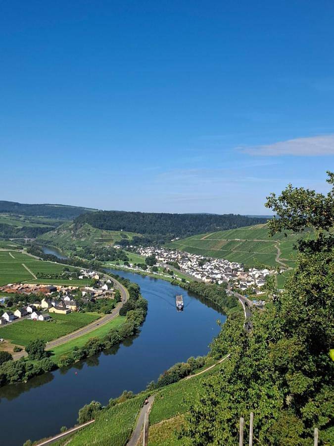 Ferienwohnung für 4 Personen, mit Terrasse und Garten sowie Ausblick in Klüsserath