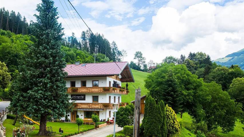 Ferienwohnung für 4 Personen, mit Pool und Garten in Seeboden - 2