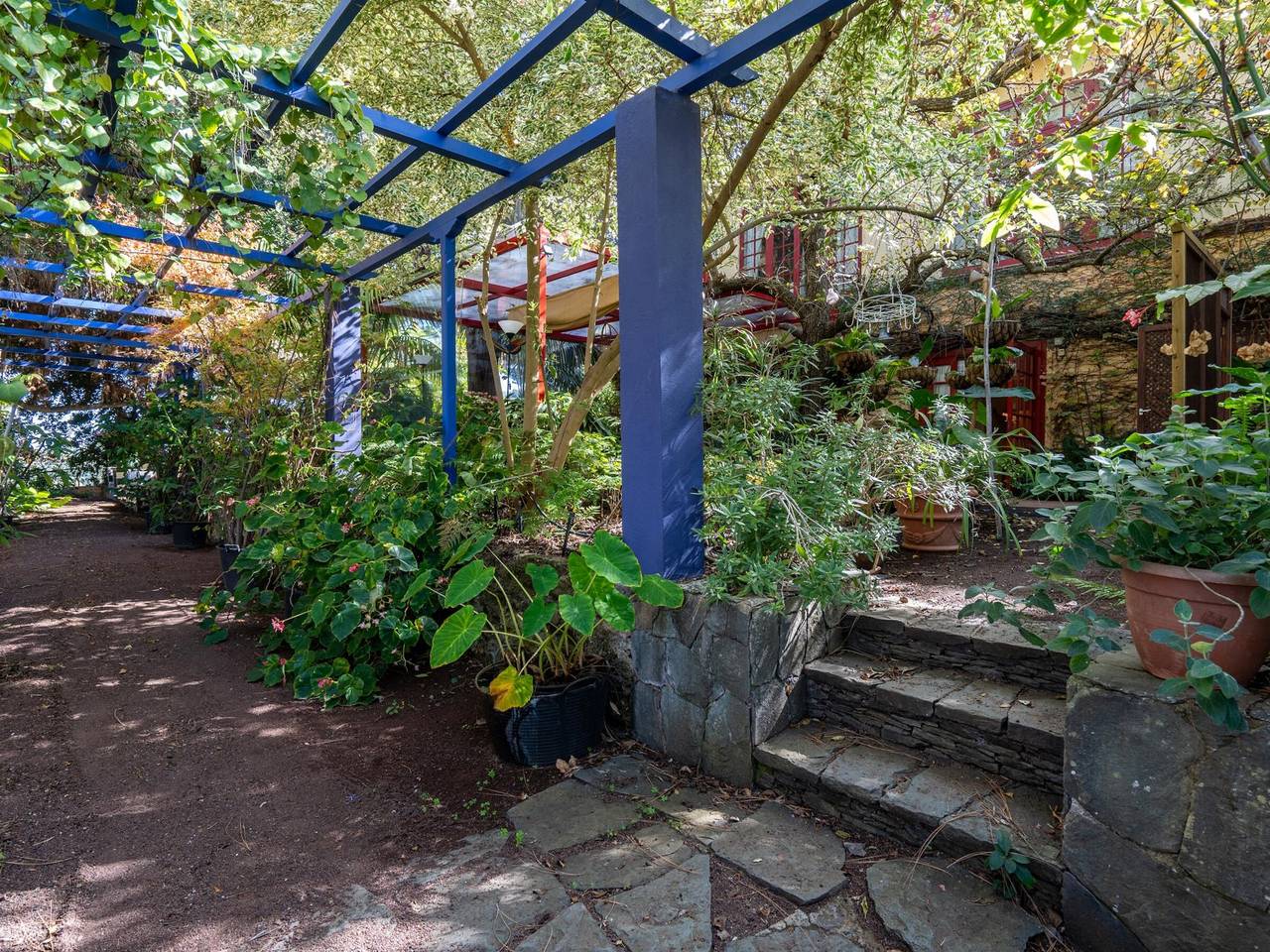 Charming 1920s House in Santa Brígida with Garden, Pets, and Modern Comforts in Santa Brígida, North Gran Canaria