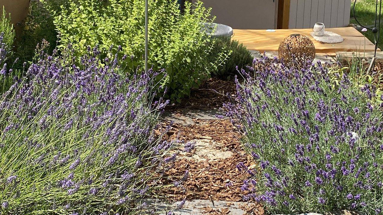 Ferienhaus für 4 Personen (120 m²) in Morbach in Morbach, Bernkastel-Kues & Umgebung