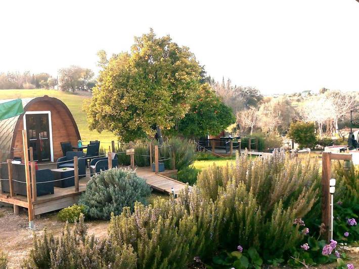 Casa rural para 4 personas, con Terraza y Jardín además de Piscina y Vistas en Santarém - 4