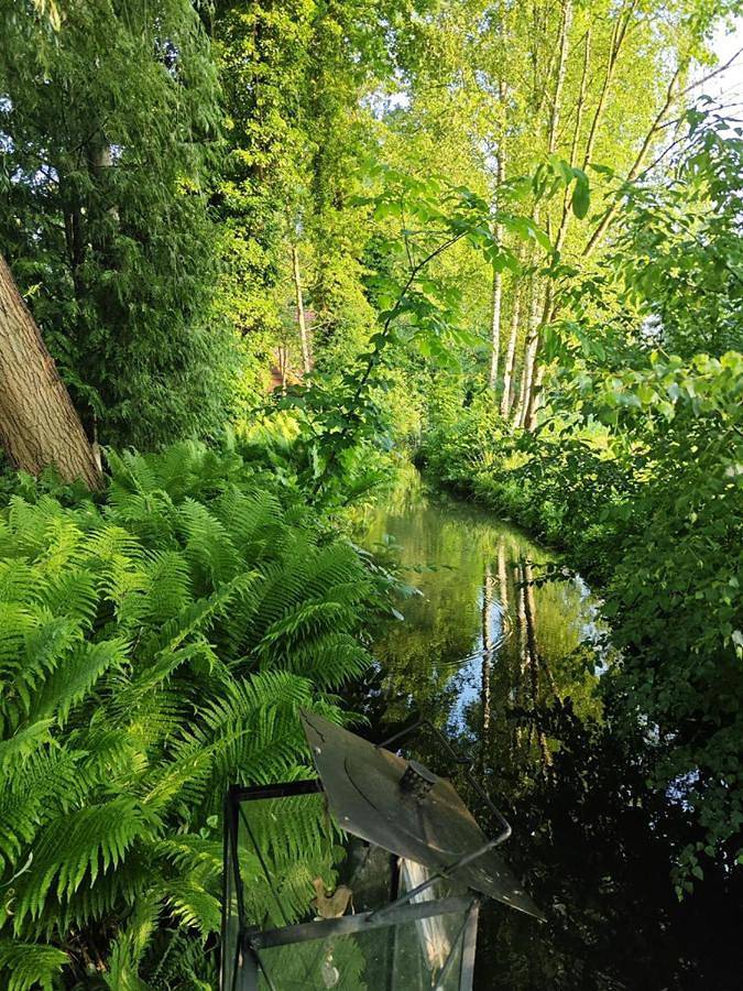 Ferienhaus für 5 Personen, mit Garten und Ausblick in Burg (Spreewald) - 4