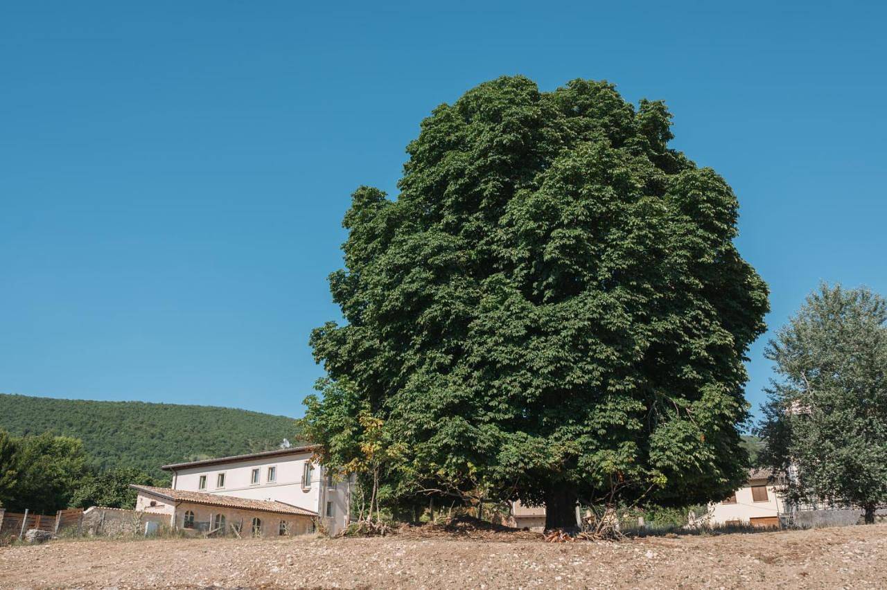 Appartamento intero, Country House Il Vecchio Ippocastano in Cascia, Perugia e dintorni