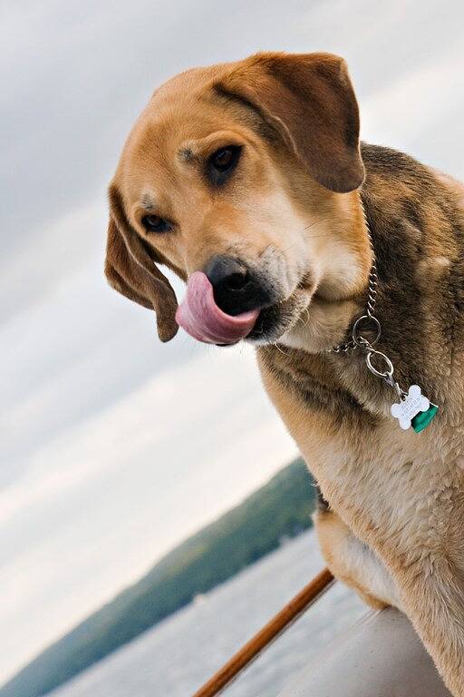 Moderne Wasser Häuschen auf Keuka See - in der Nähe Penn Yan & Finger Lakes Wein! in Keuka Lake