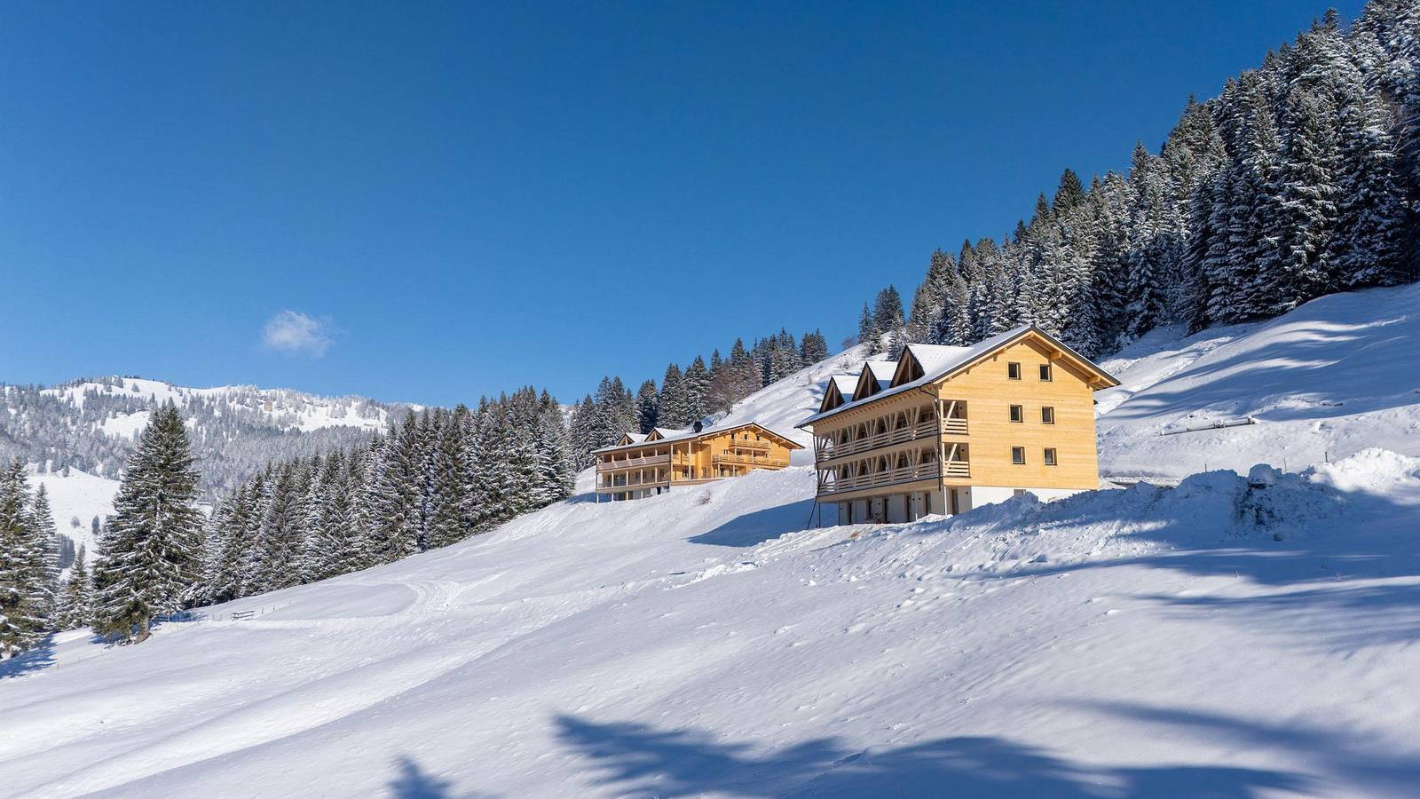 Ganze Ferienwohnung, Doppelzimmer Plus/Sommer in Balderschwang, Bayerisch Schwaben