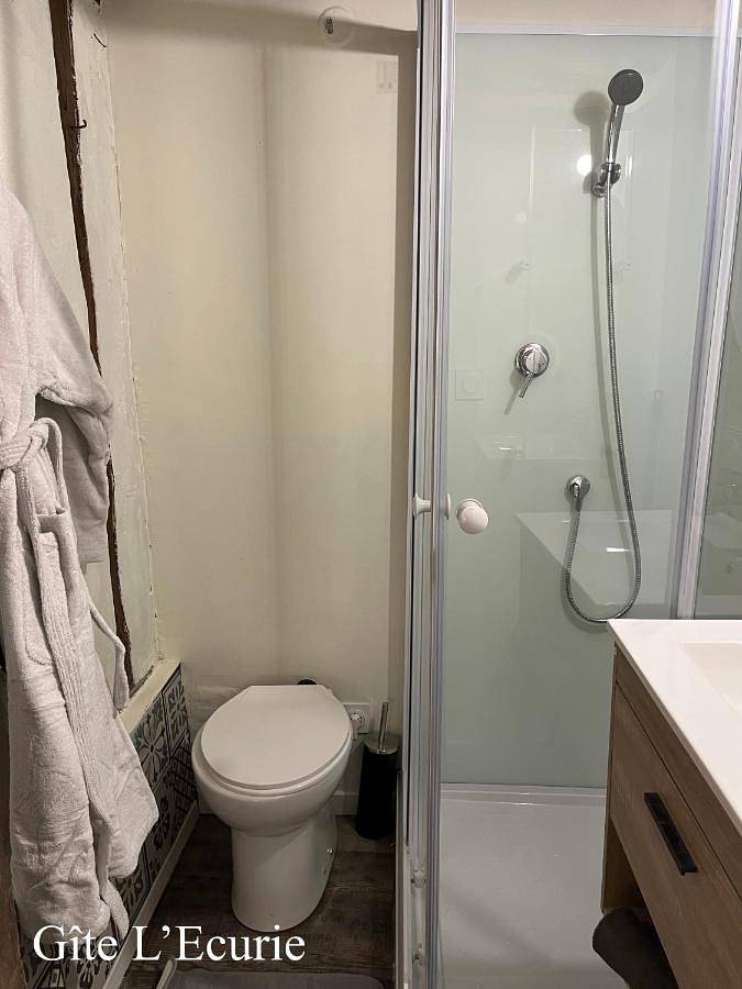 Location de vacances pour 2 personnes, avec terrasse ainsi que sauna et jardin, animaux acceptés à Lorris - 4