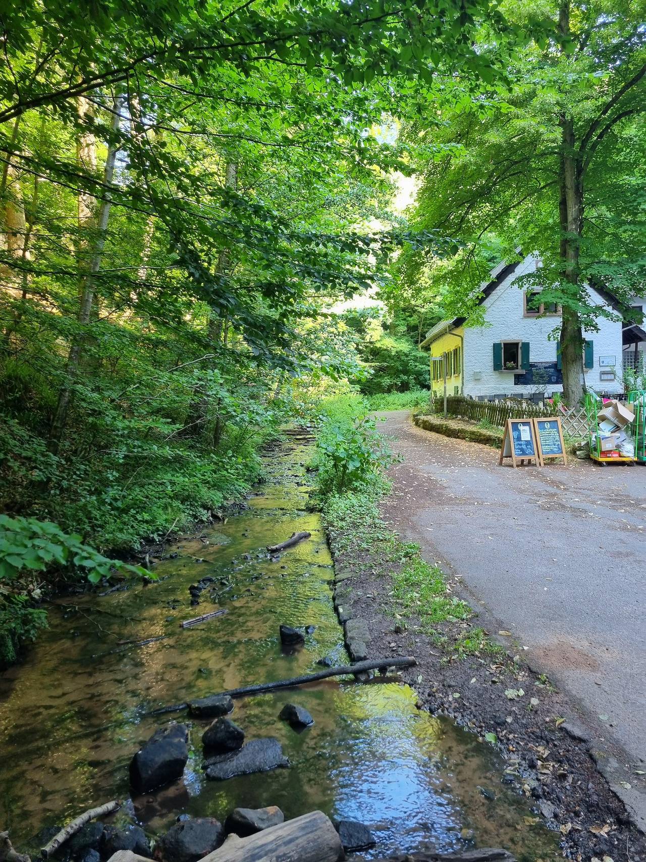 Ganze Ferienwohnung, Charlottes Waldresidenz in Deidesheim, Deutsche Weinstraße