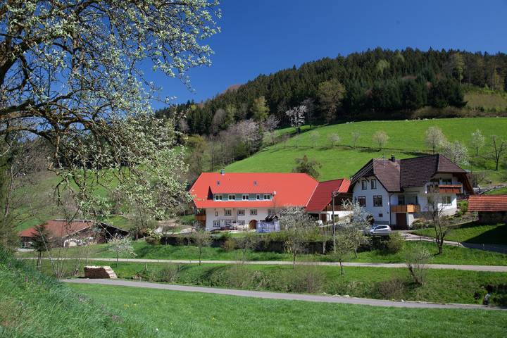 'Gästezimmer Hörnlebergblick' with Shared Terrace, Garden and Wi-Fi in Winden im Elztal, Südschwarzwald