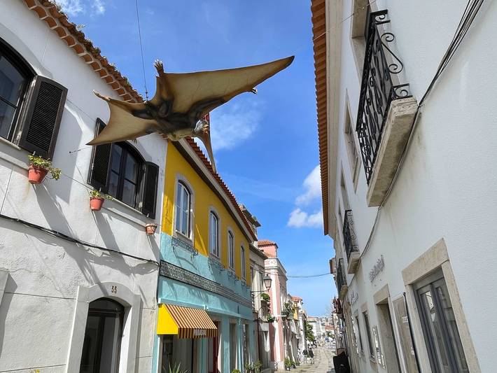 Gîte pour 6 personnes, adapté aux familles à Lourinhã - 4