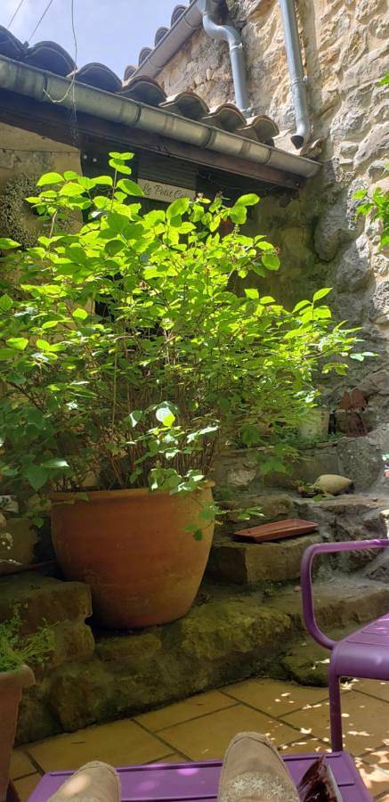 Gîte pour 2 personnes, avec jardin et vue à Camps-sur-l'Agly - 2