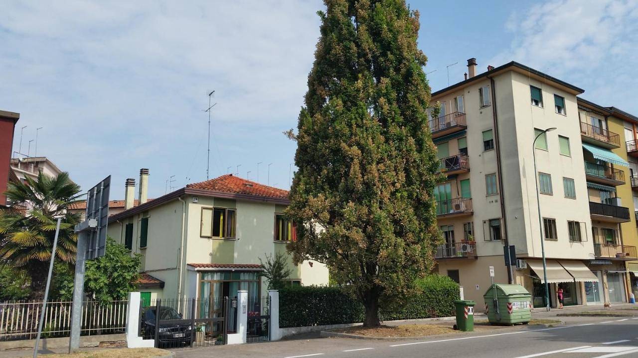 Ever Green in Mestre, Venezia