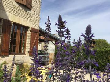 Gîte pour 5 personnes, avec jardin et vue à Cunfin