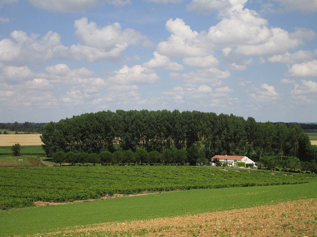 Le Bas des Vignes in Vix, Fontenay-le-Comte