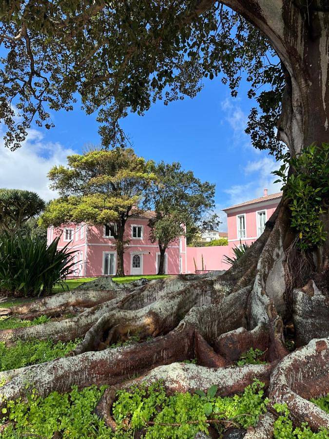 Standard Double Room in São Miguel Island, Ponta Delgada