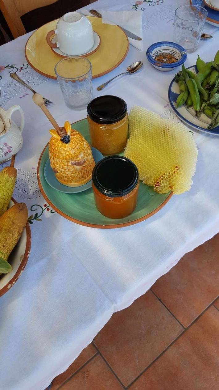 Privatzimmer für 2 Personen, mit Terrasse und Garten auf Stromboli